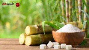 قند از چه چیزی تولید می شود؟