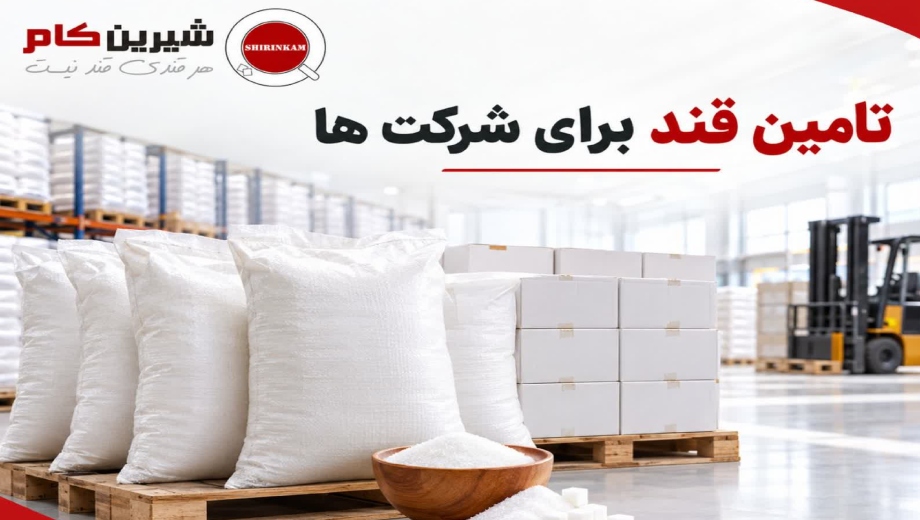 راهنمای خرید و تامین قند برای شرکت ها